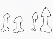 What I Know About Penises